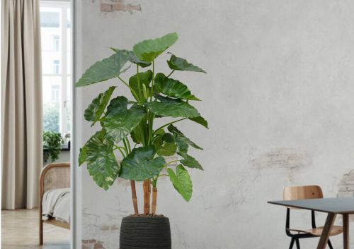 Kunstplanten Kunstplanten