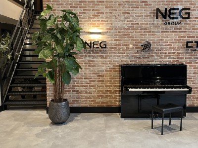 Kunstplanten voor NEG IT Solutions in Nieuwegein Kunstplanten voor NEG IT Solutions in Nieuwegein