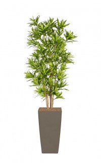 Kunstplant Dracaena Reflexa Kunstplant Dracaena Reflexa