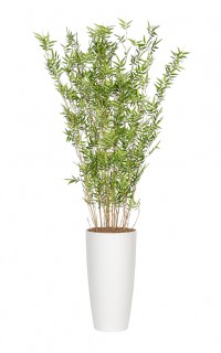 Kunstplant Bamboe Oriental Kunstplant Bamboe Oriental